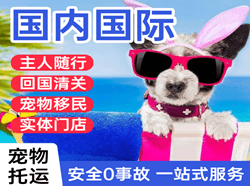 建三江机场物流国际宠物托运 【国